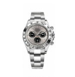 Rolex Cosmograph Daytona White Gold Men's Watch 116509