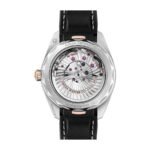 Omega Seamaster Silver Dial Replica - Image 6